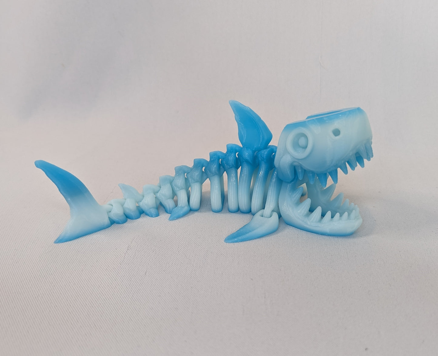 Skeleton Shark